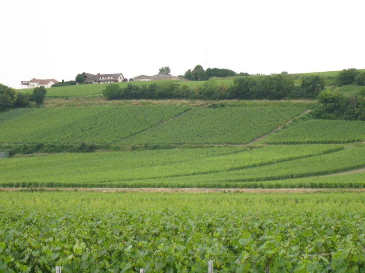 La Chambre D'Amis La Costignieres Montgueux Exterior foto